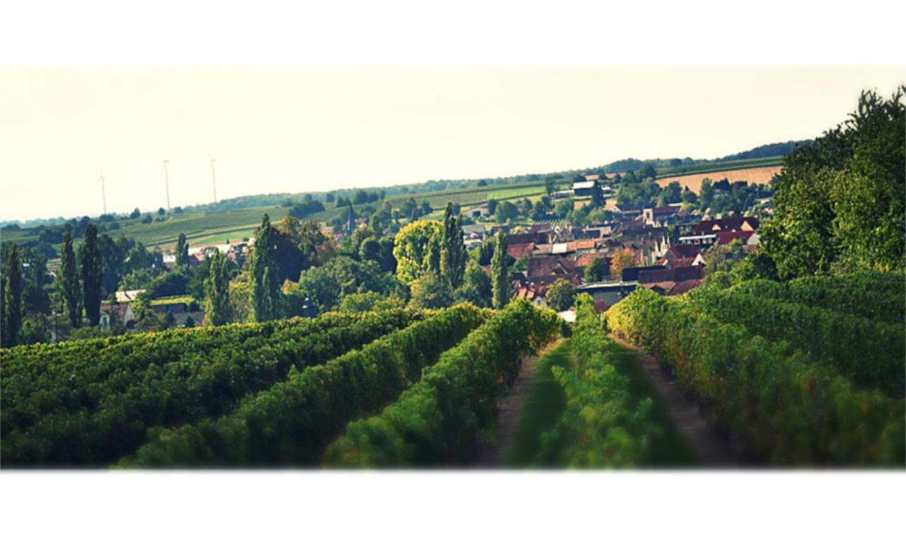 Ferienhaus & Weingut Am Steingebiss Billigheim-Ingenheim Esterno foto